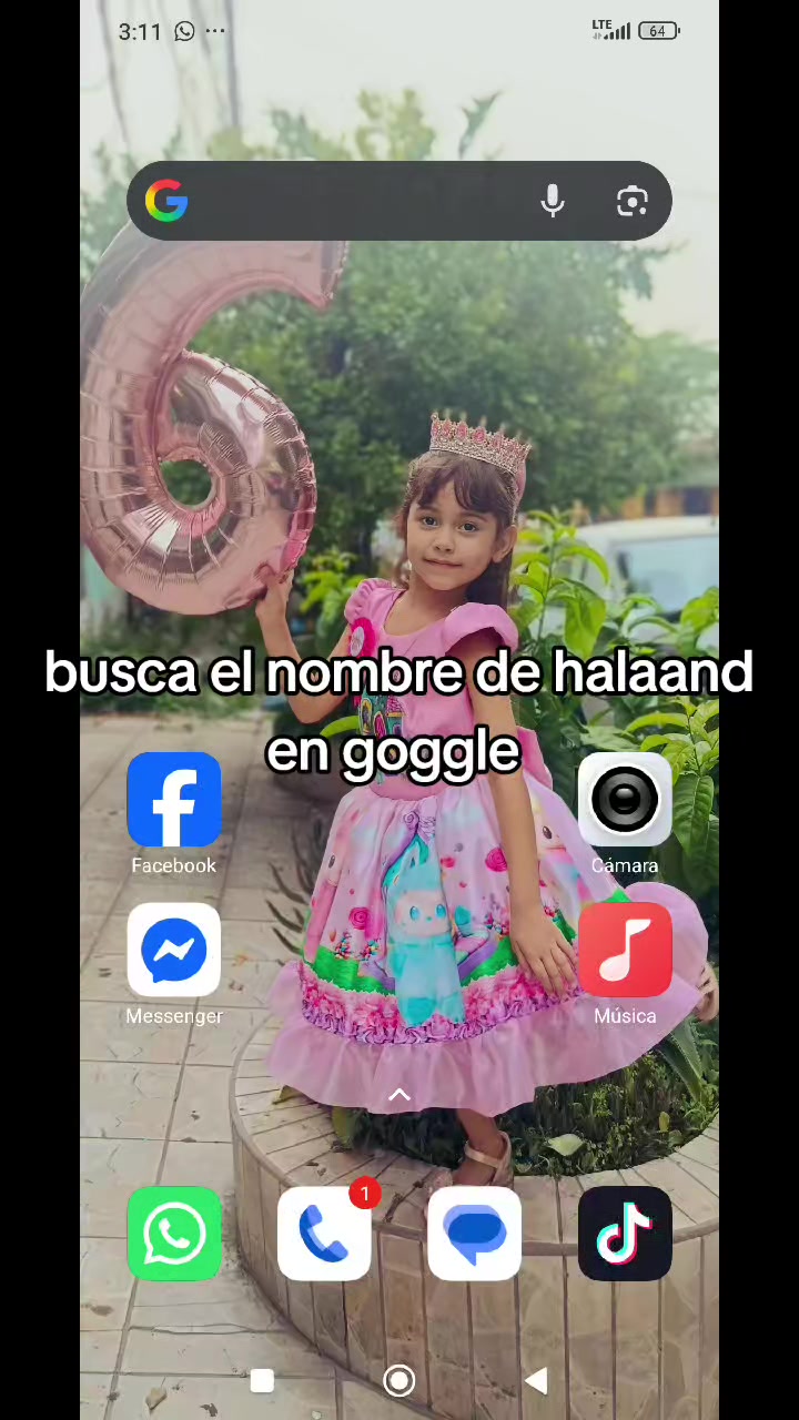 @Rosas_Nia D.I.🌹