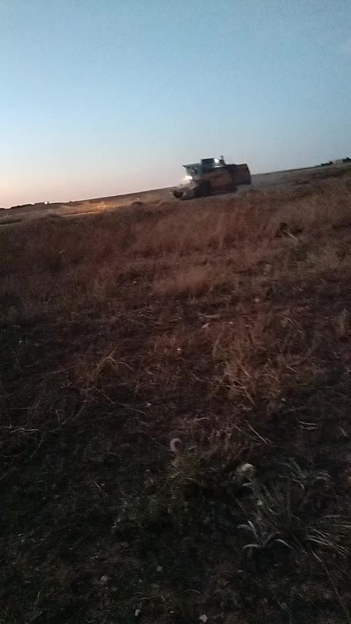 @ساعد جلفاوي