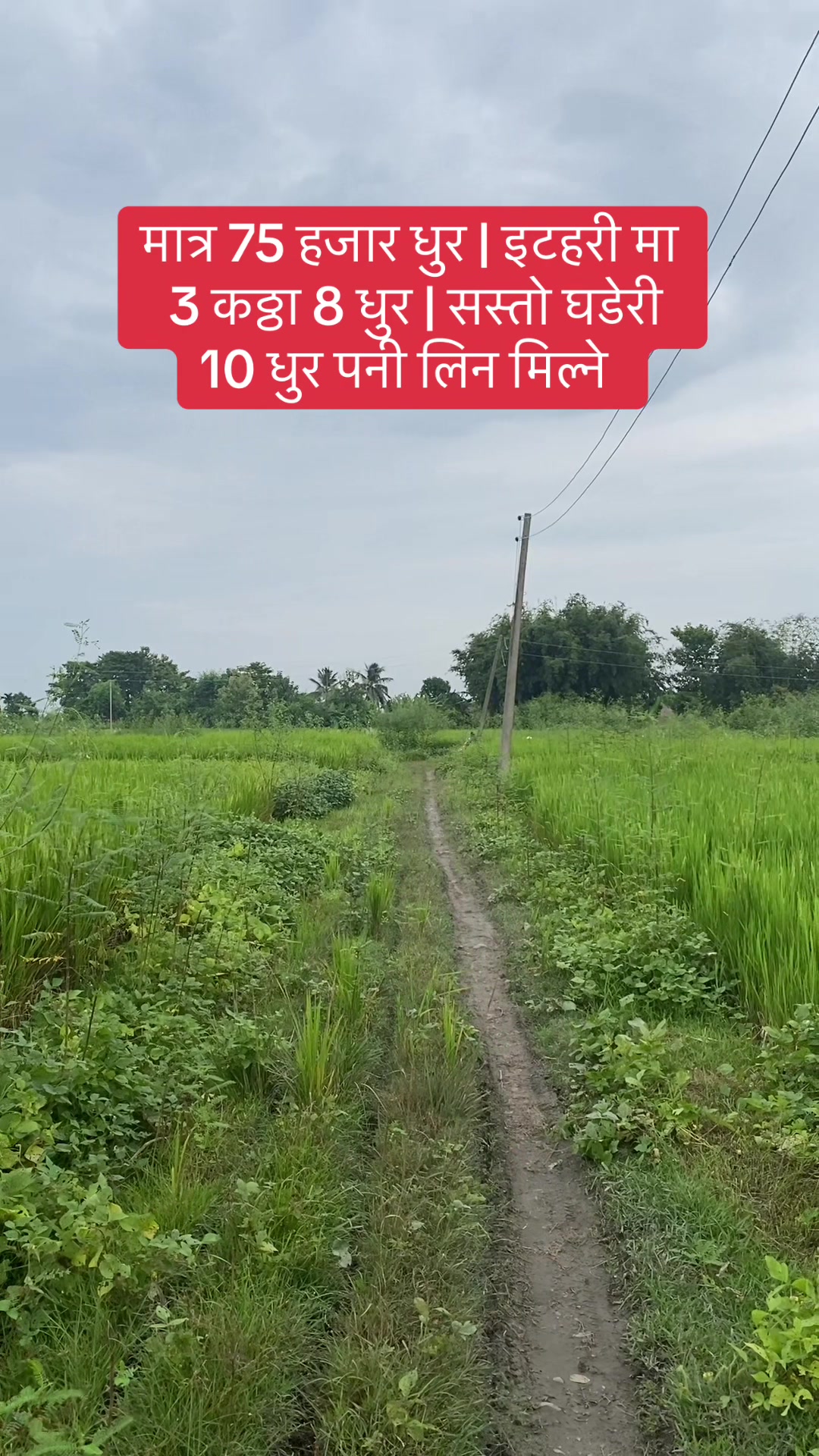@Bhuban Thapa Real Estate