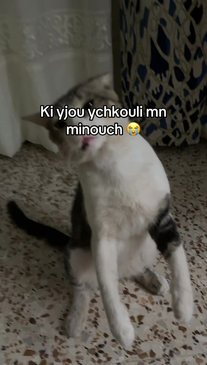 @﮼مَريم
