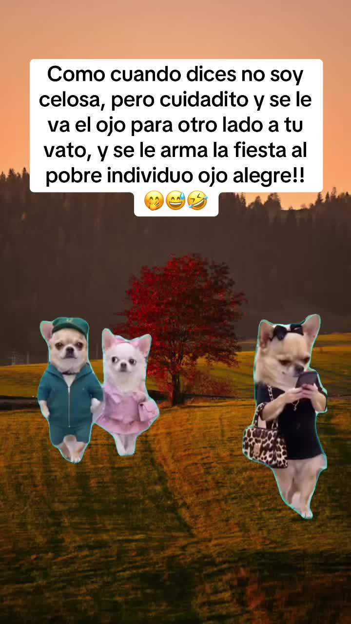 @Cinthya Sambrano