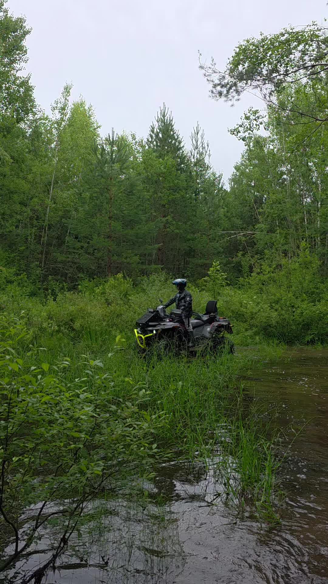@Николай Гепардович