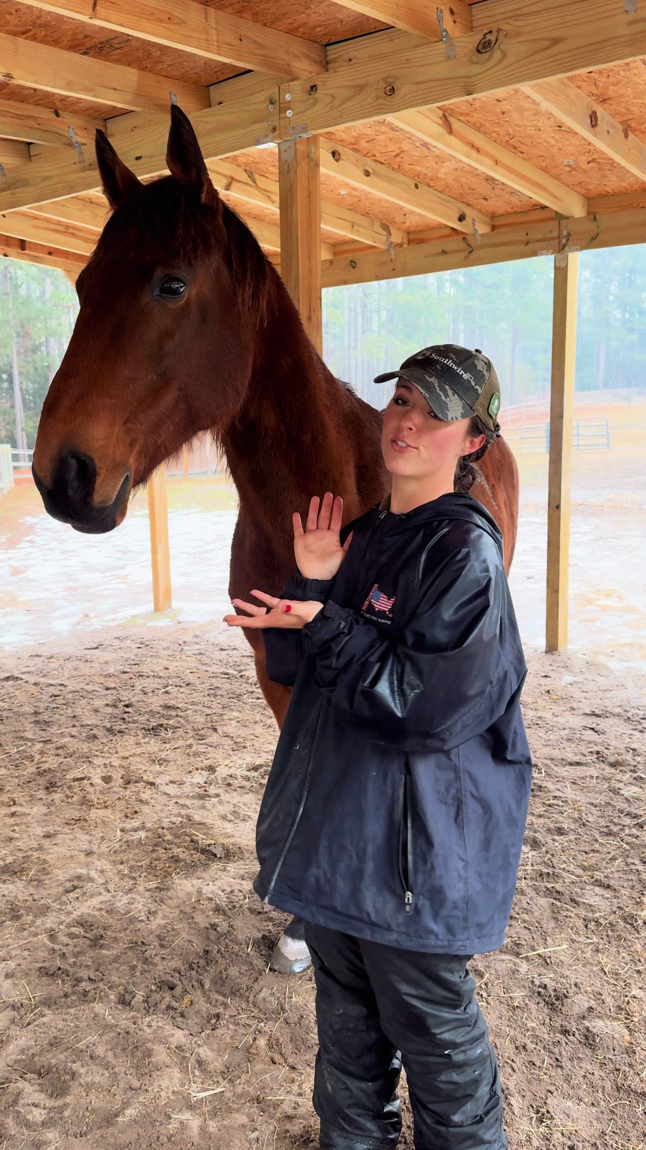 @TheSouthernHorsegirl