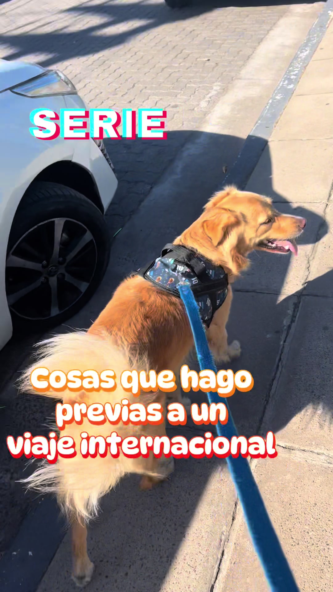 @La Casita Azul