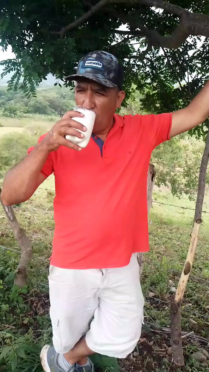 @mambo