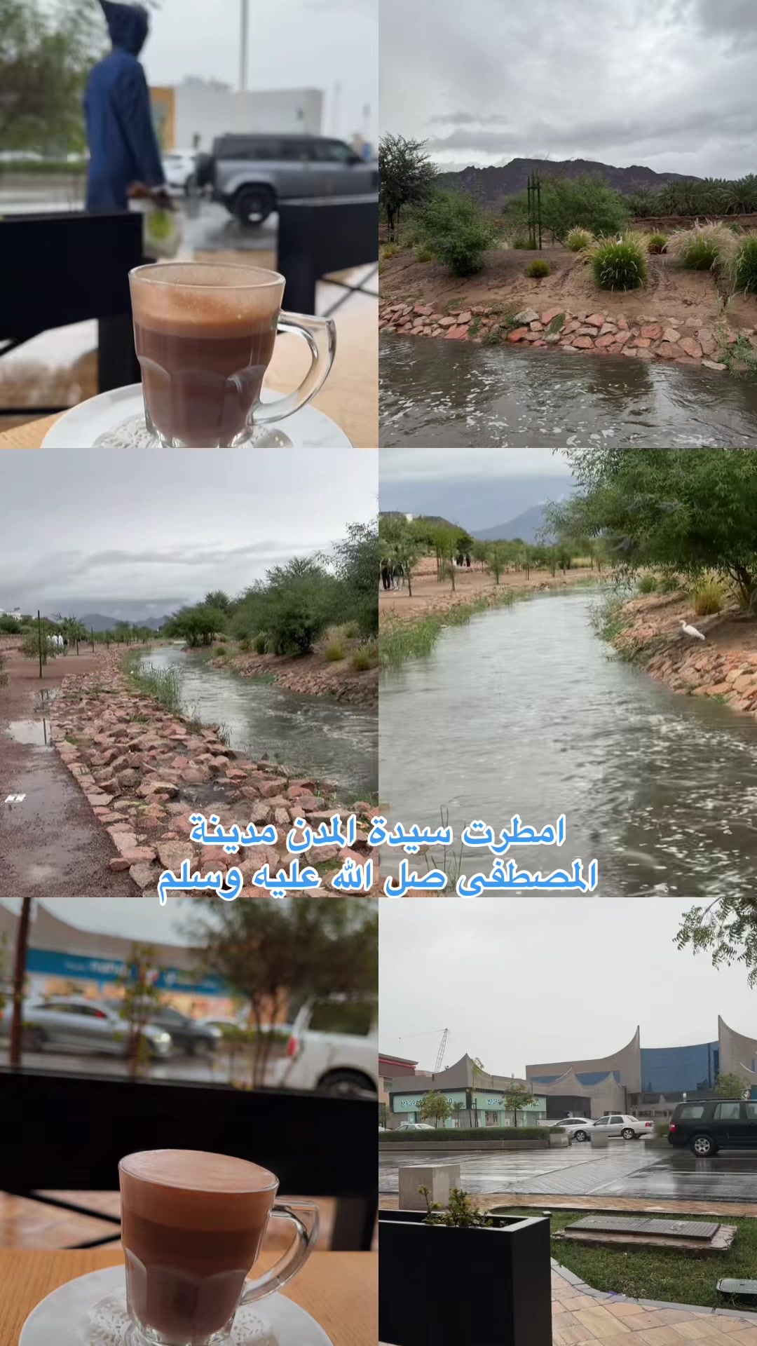 @اروى || arwa📽️