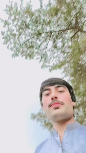 @sajjad