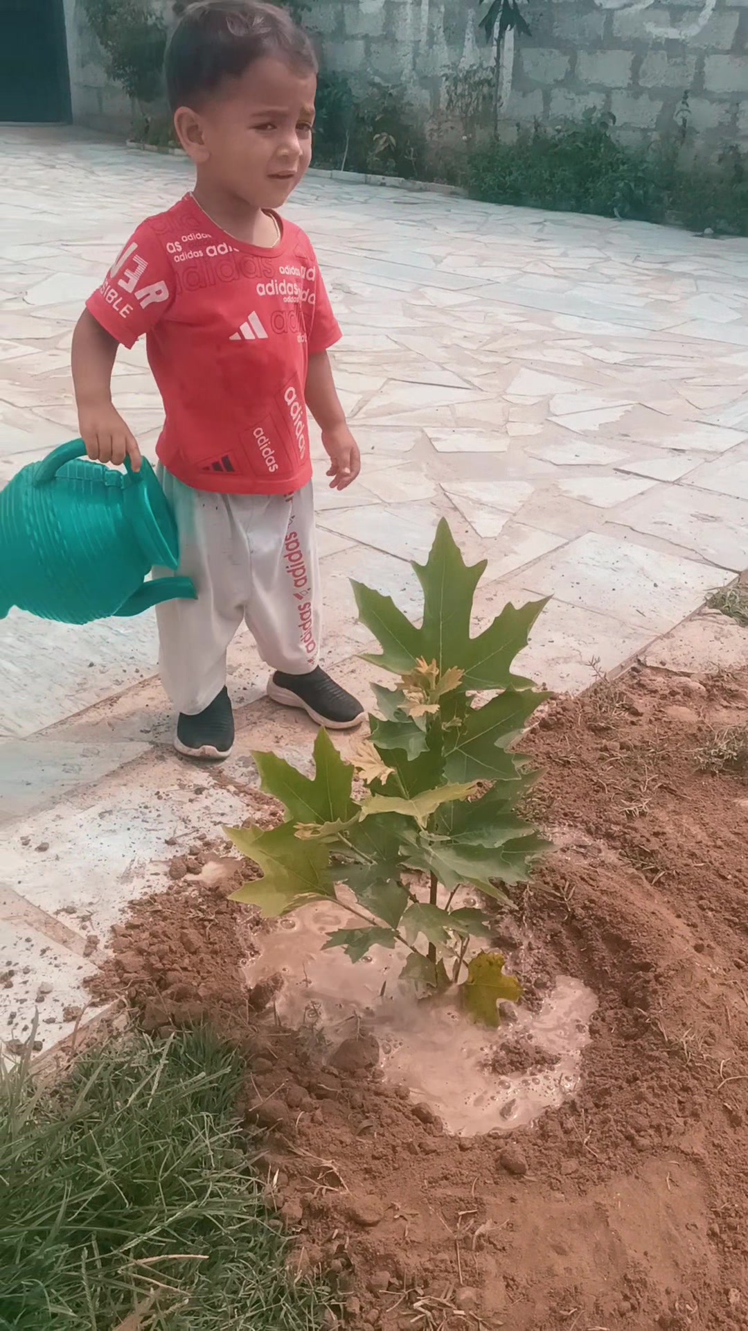 @Engr ihsan ullah
