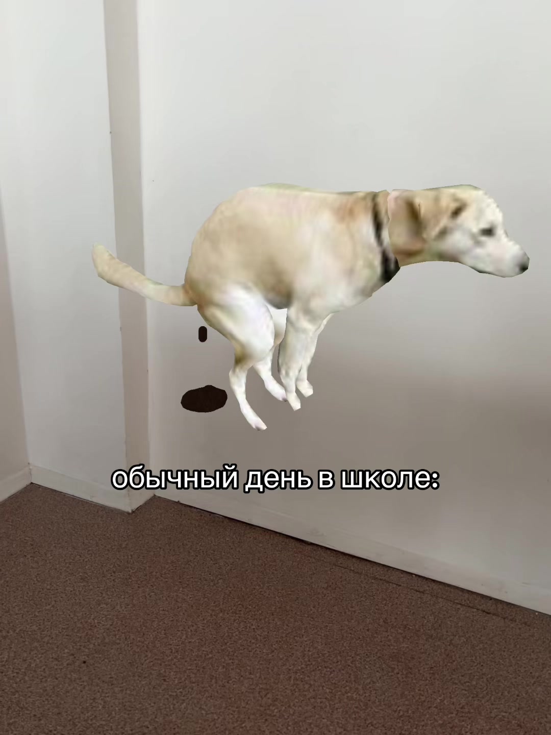 @ебнутая