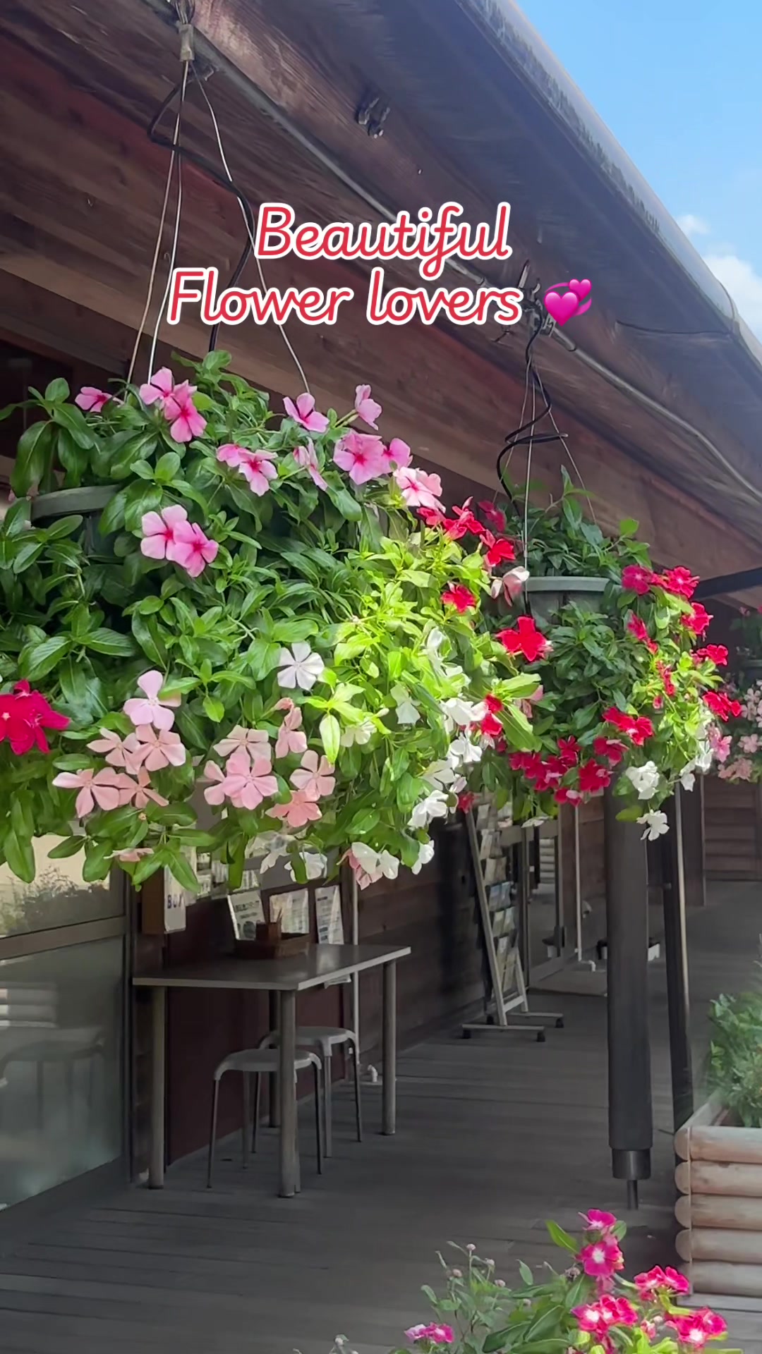 @@🌻アイリス@Airies🌻💞
