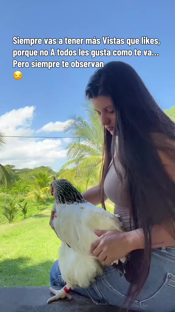 @Granjamascotalandiayaracuy