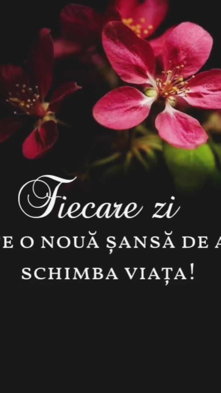 @COȚOFANA REA
