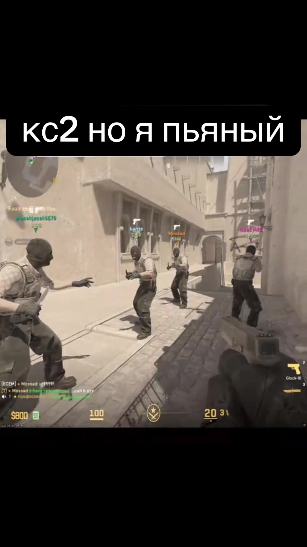 @csdog.i0