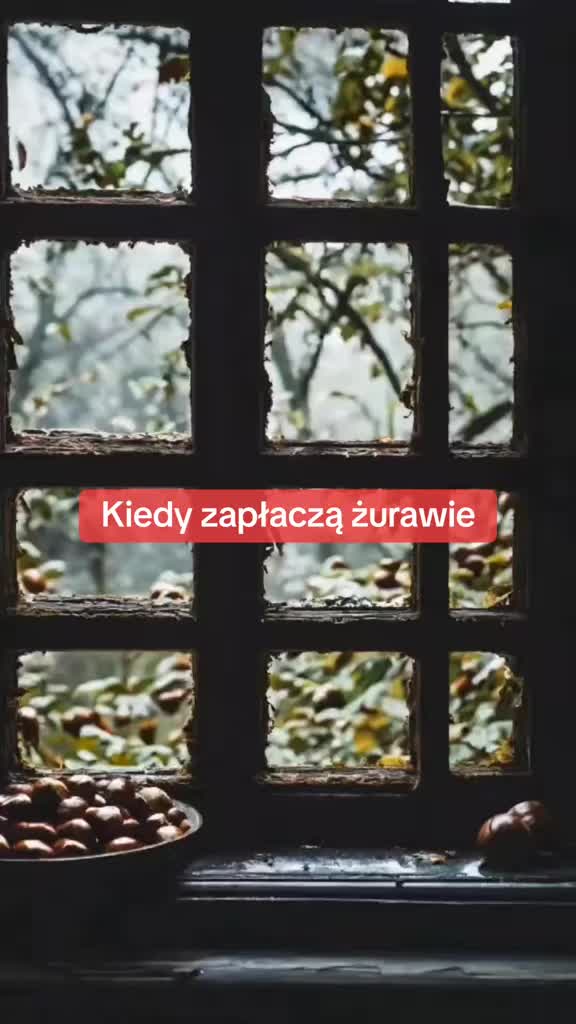 @Poezja Polska