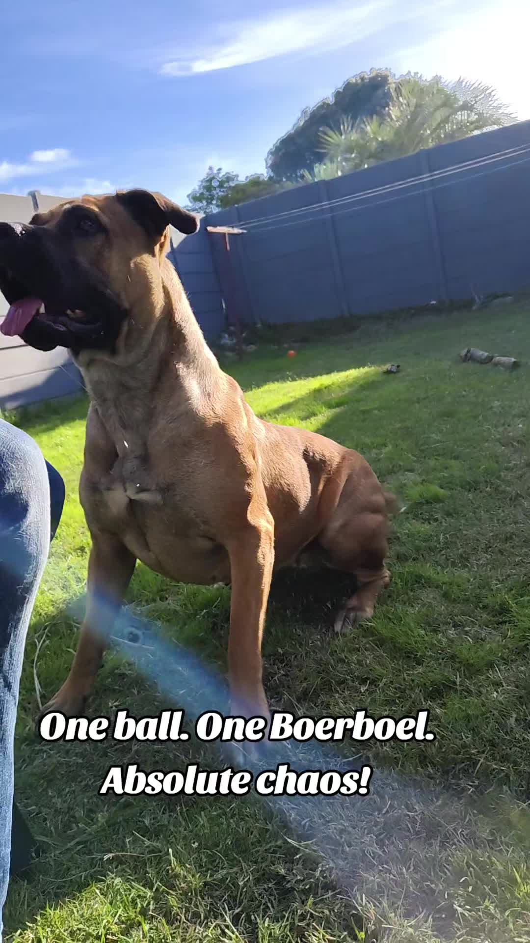 @Mishatheboerboel