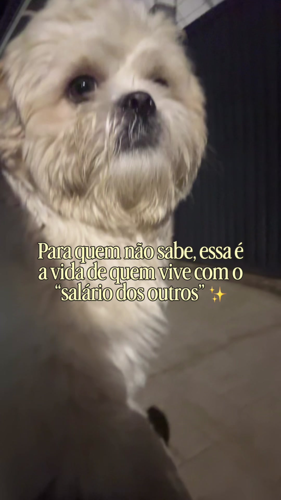 @Vitoria Oliveira