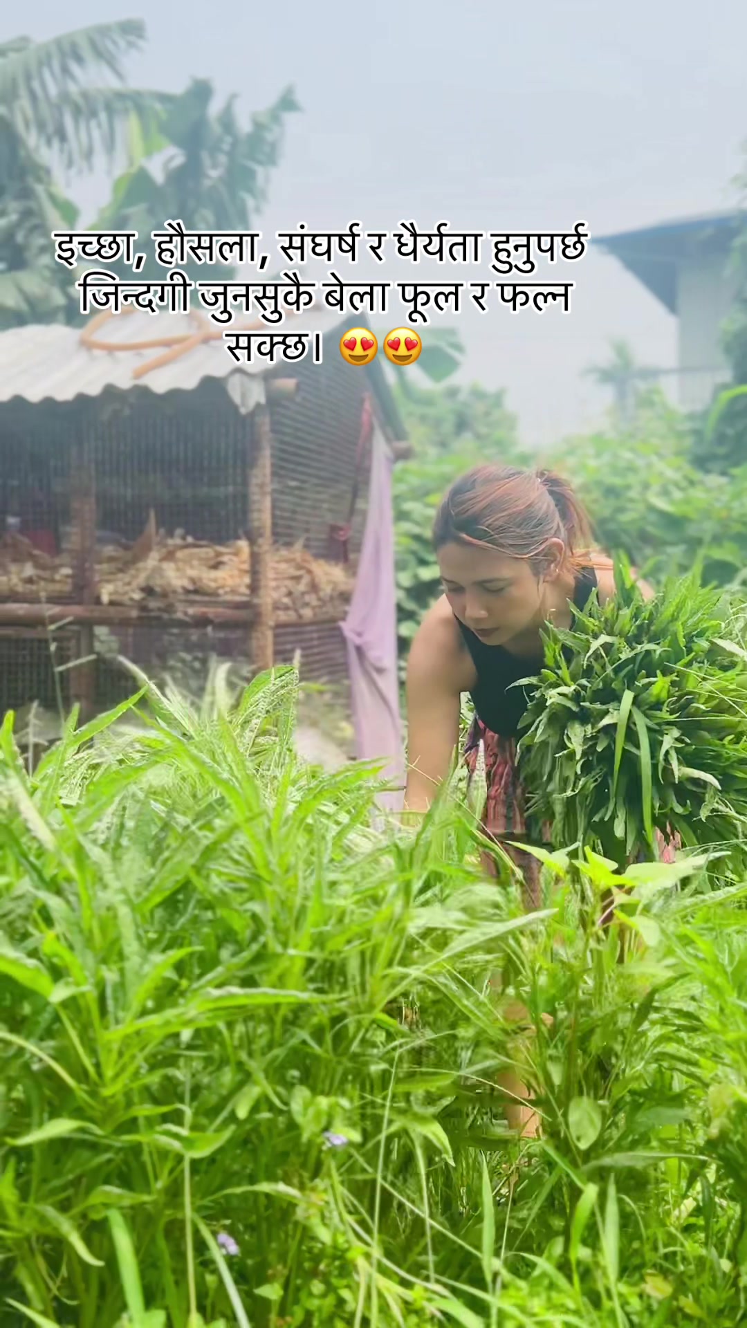 @Sunita Thapa Gurung