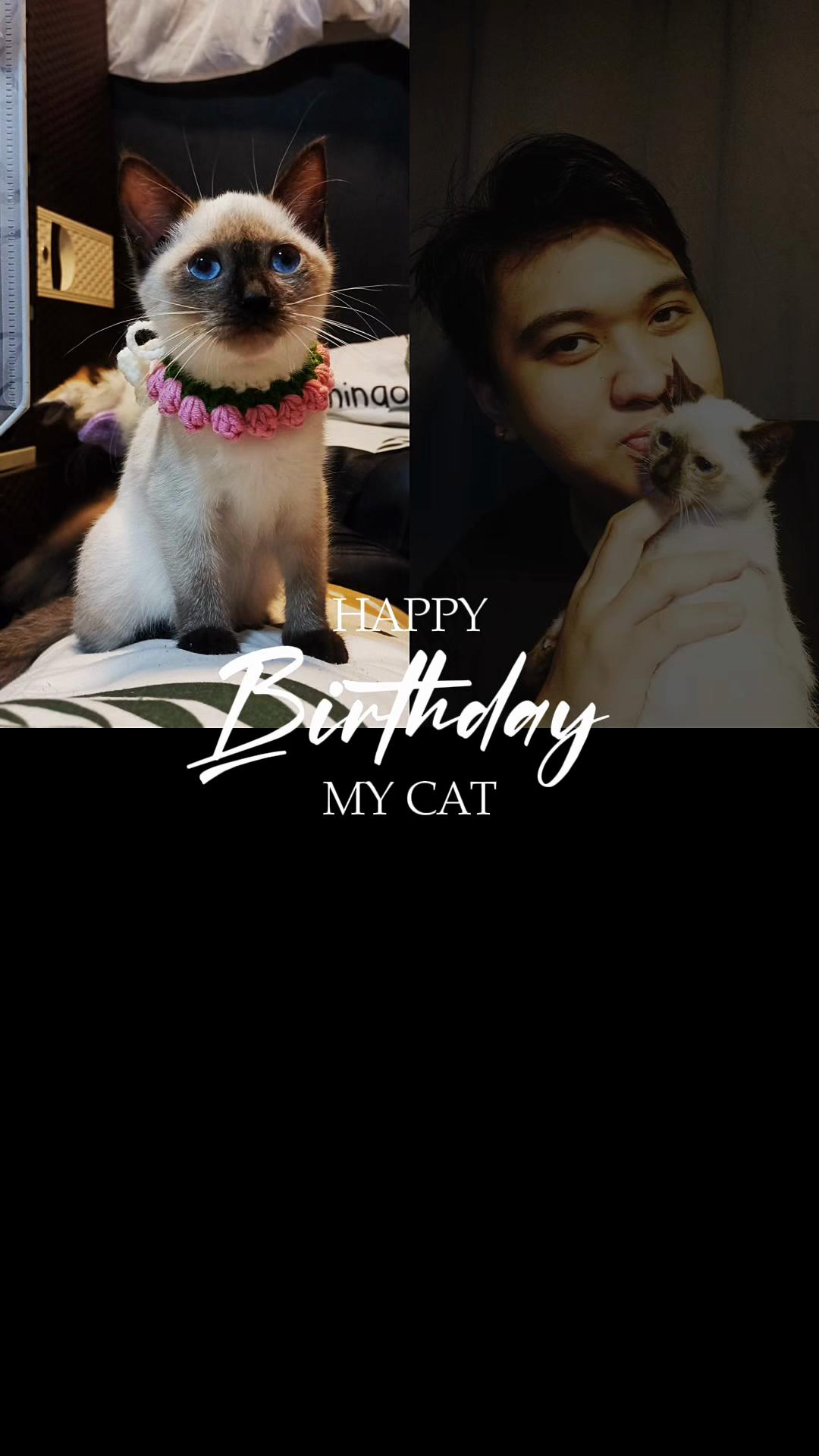 @TheCatFather