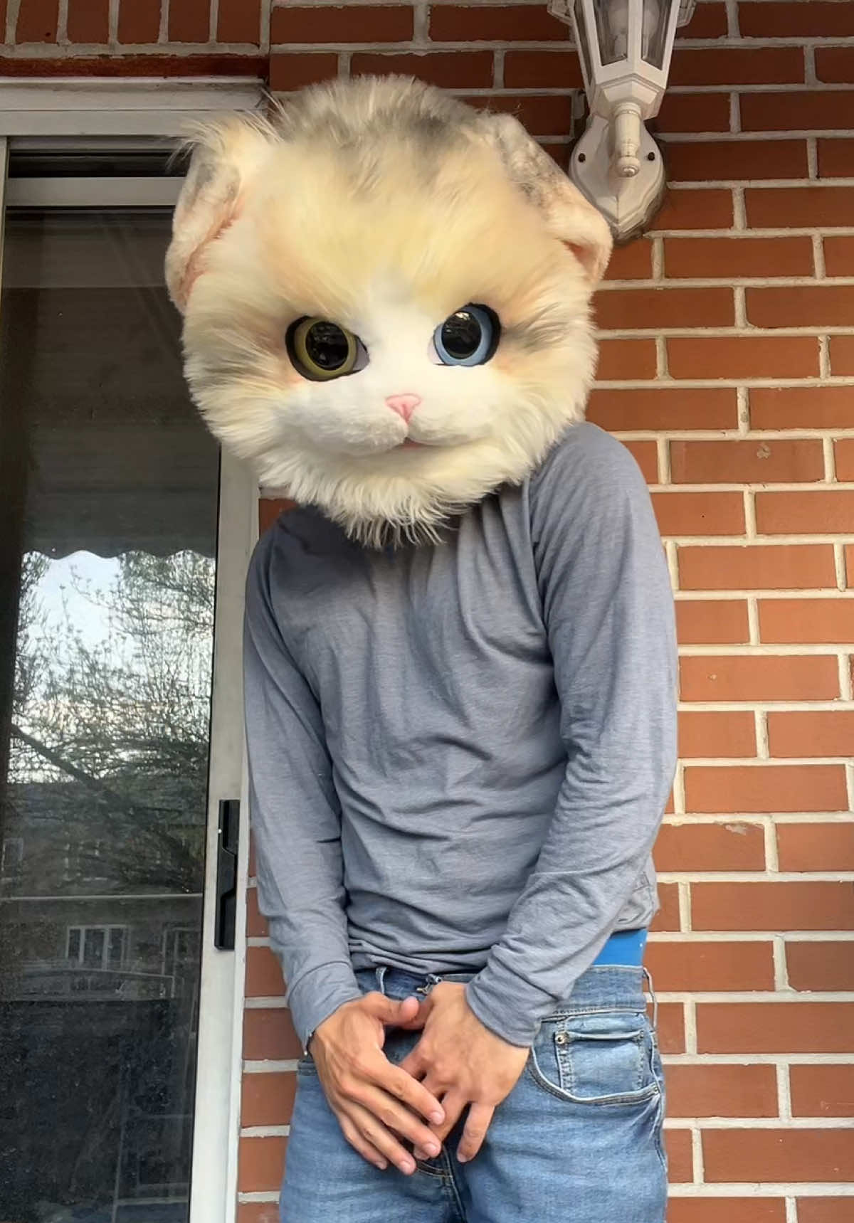 @The CaT 😼