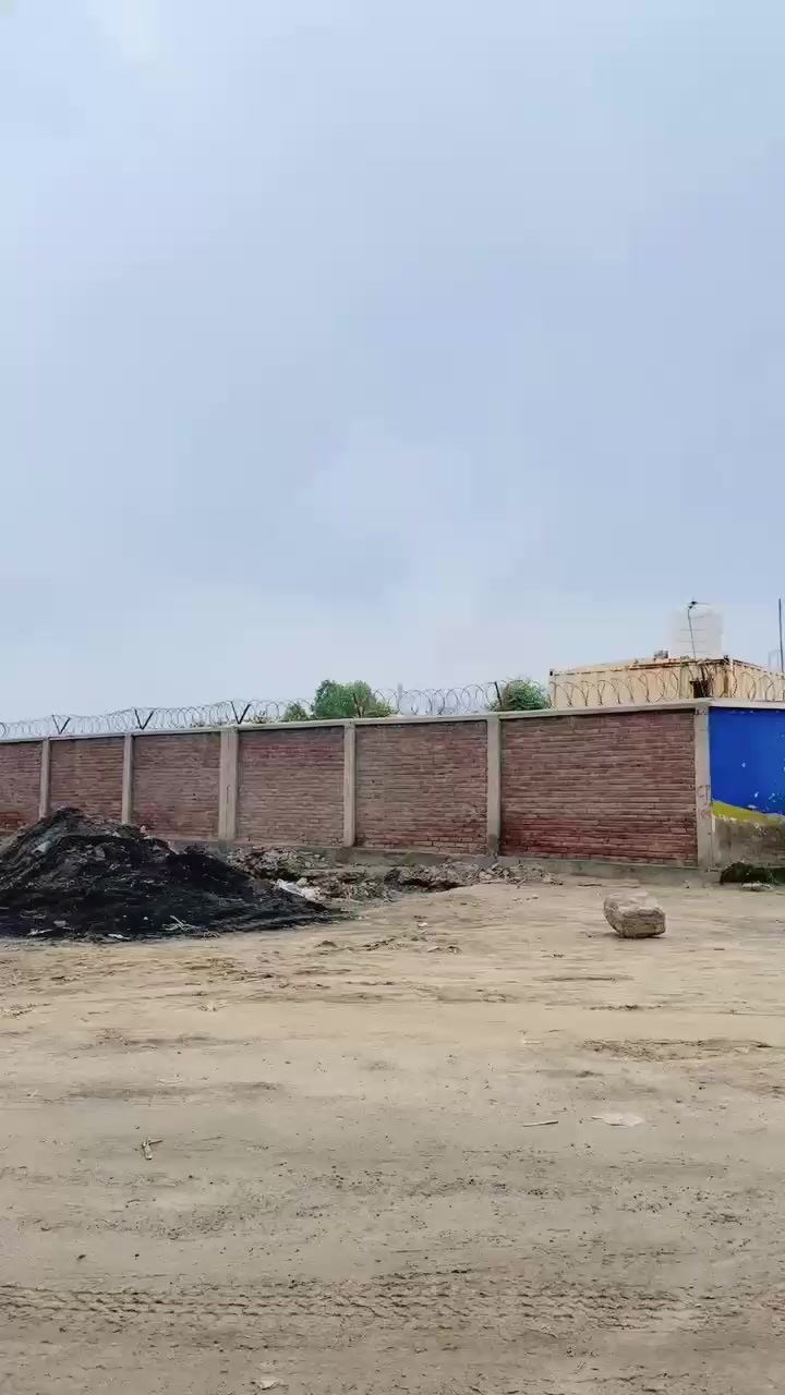@منا ڈوگر🚩