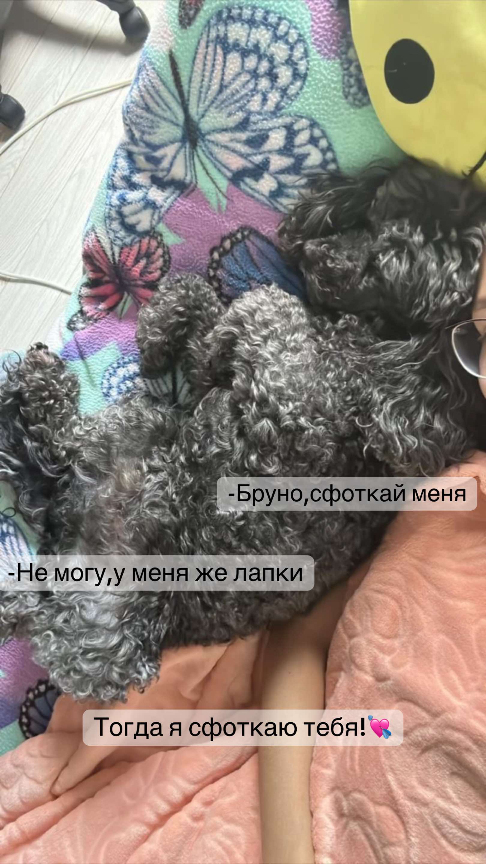 @тая🪽
