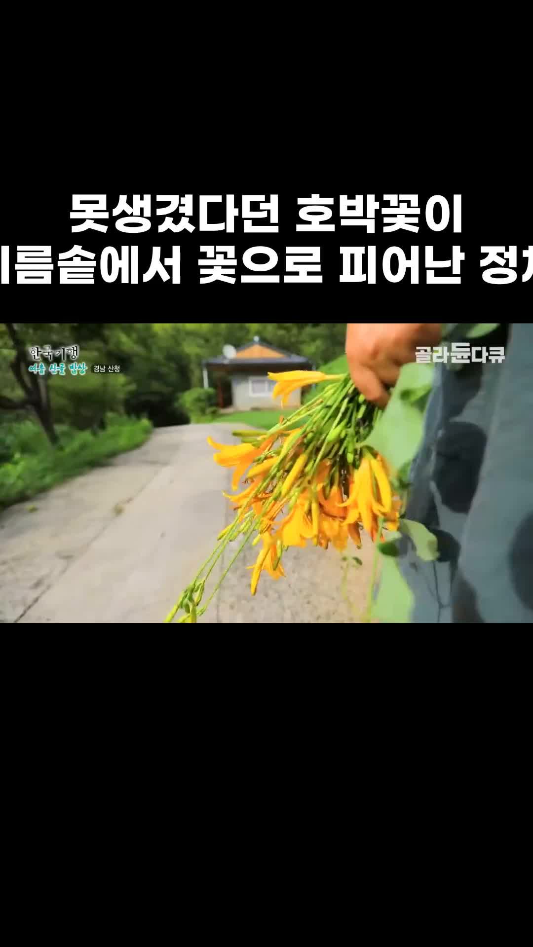 @EBS 다큐