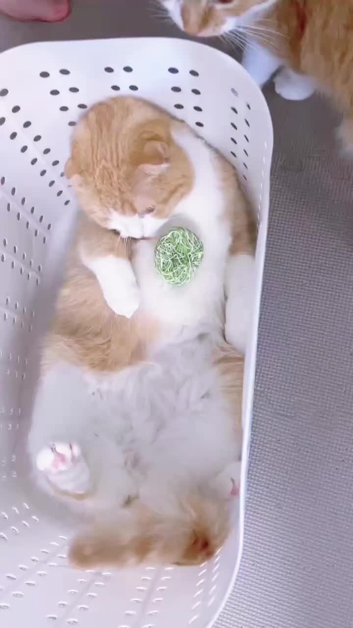 @マロン