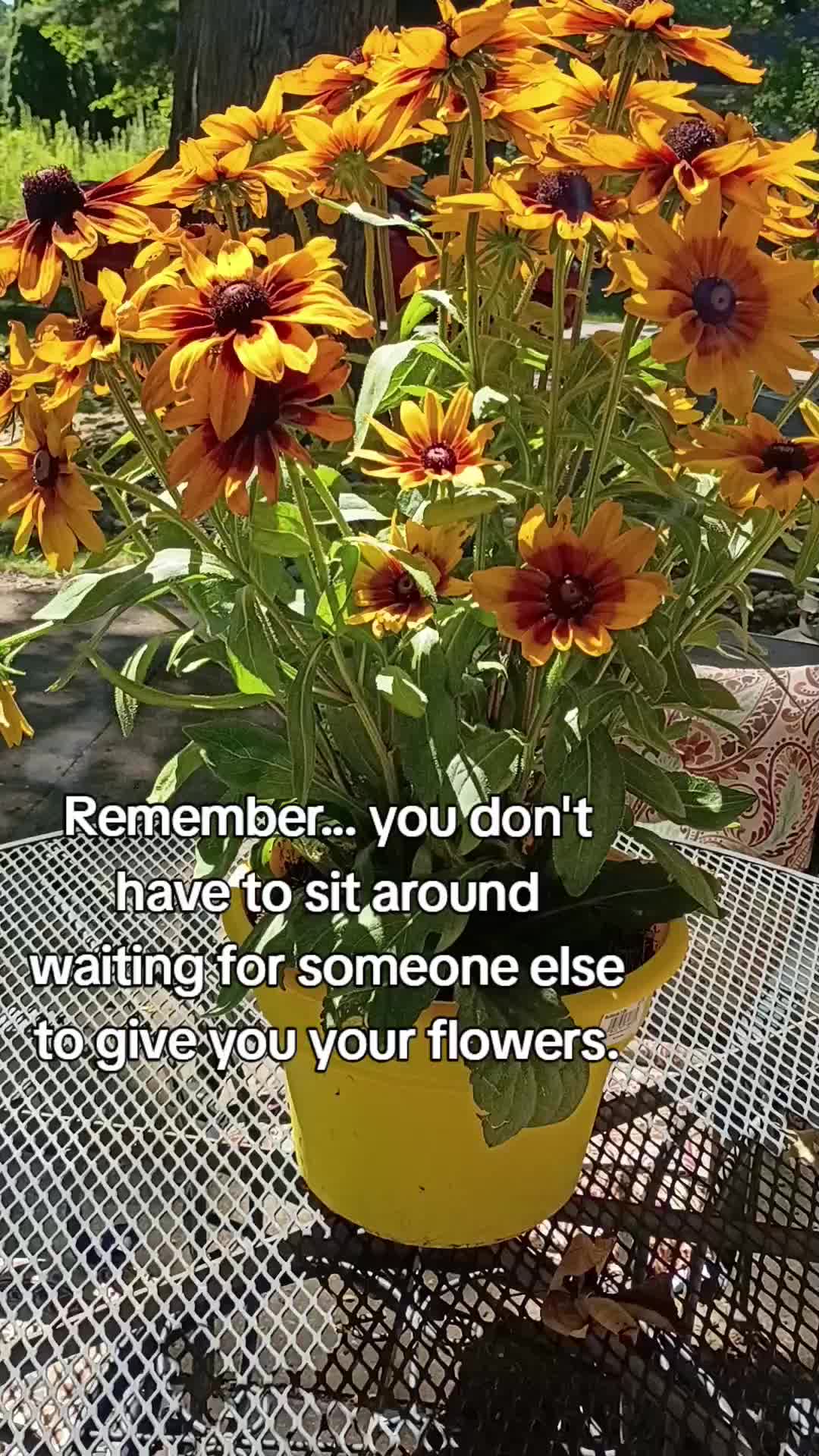 @JinBug