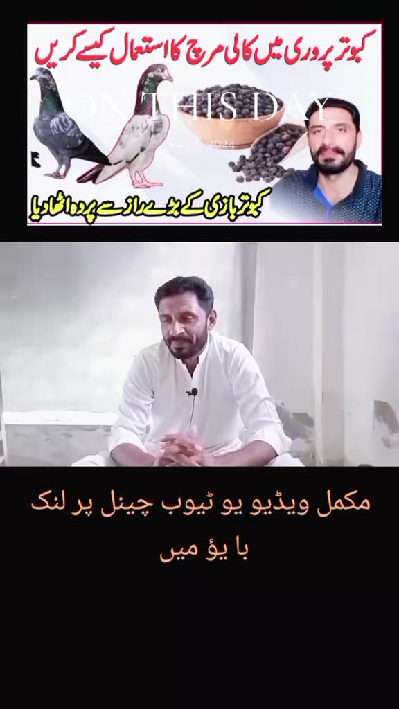 @KABOOTAR PARWAR VLOG