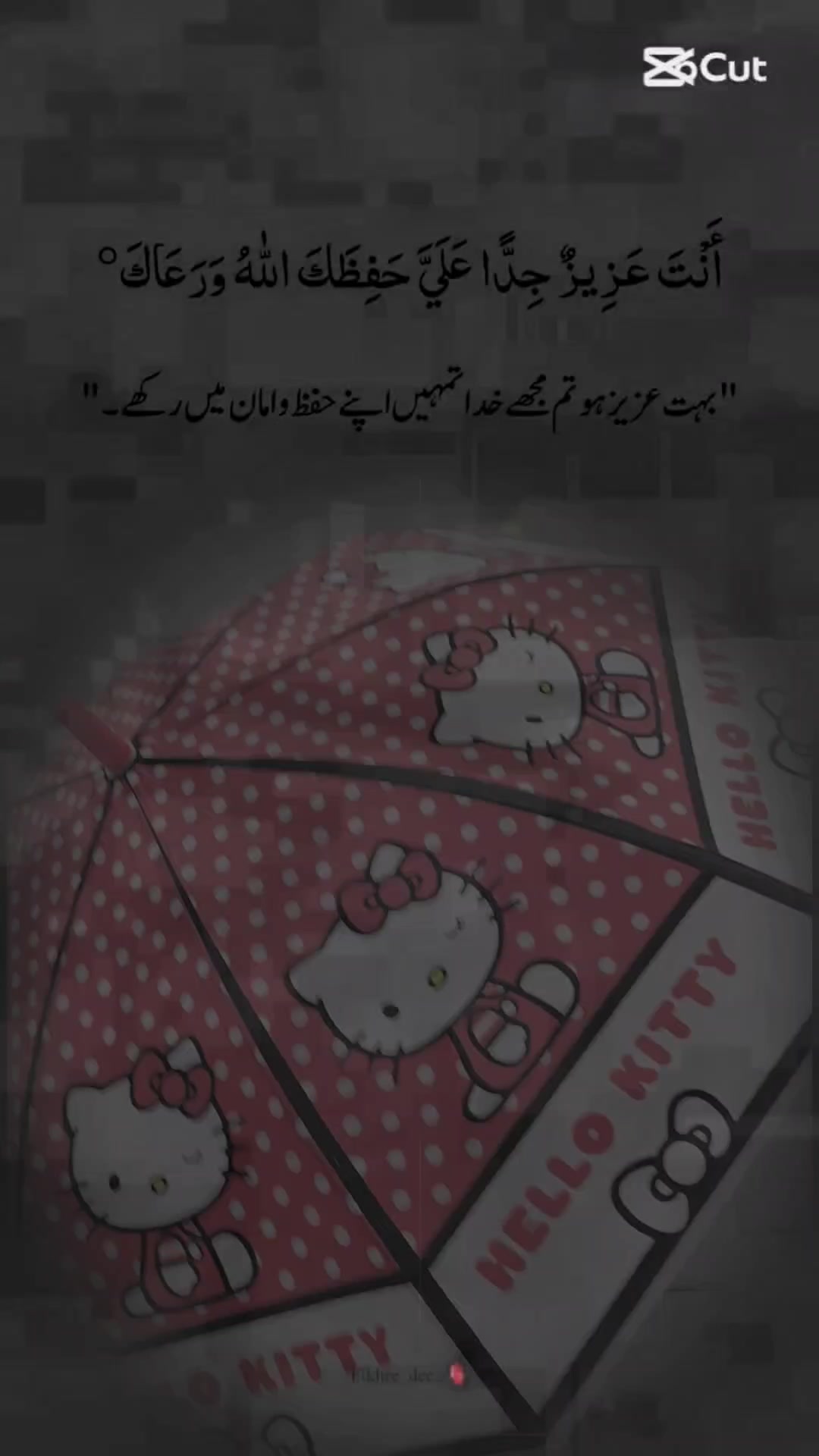 @Nazni Shaikh