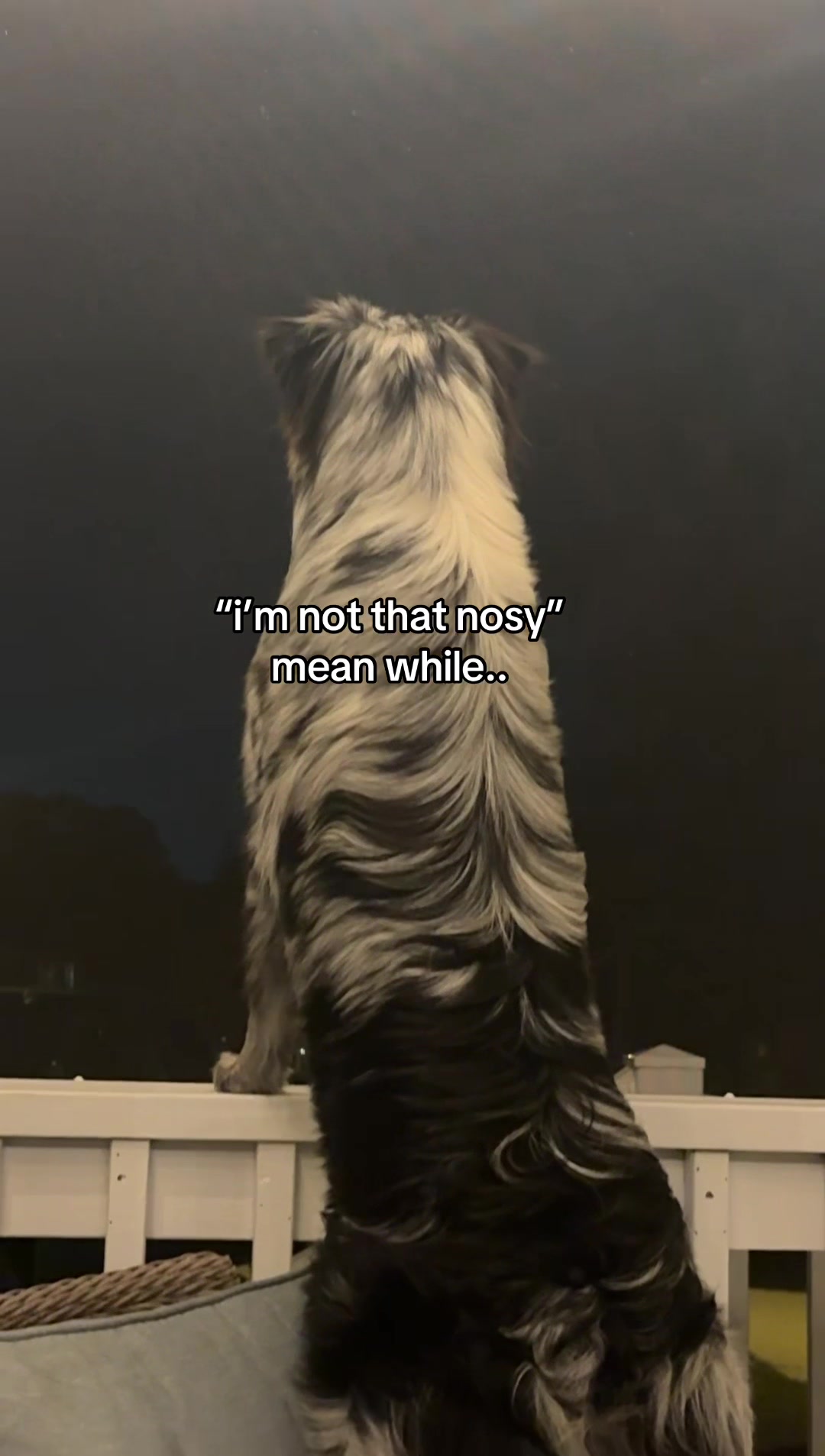 @B R Y L E E