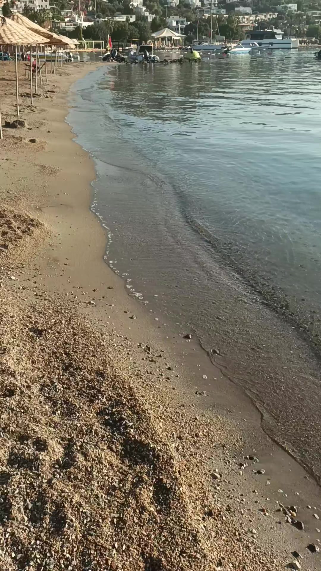 @Dexter_221