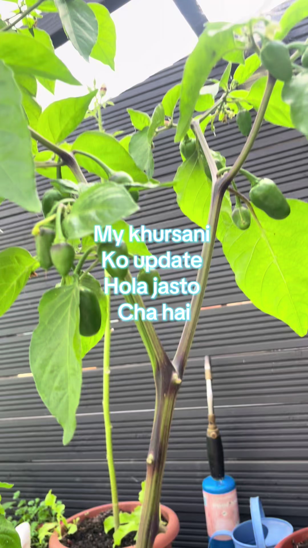 @SP