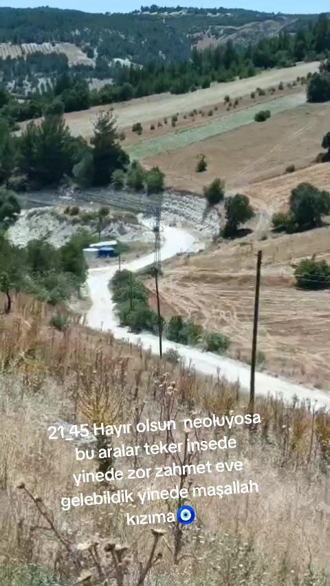 @Saliha Yavuz