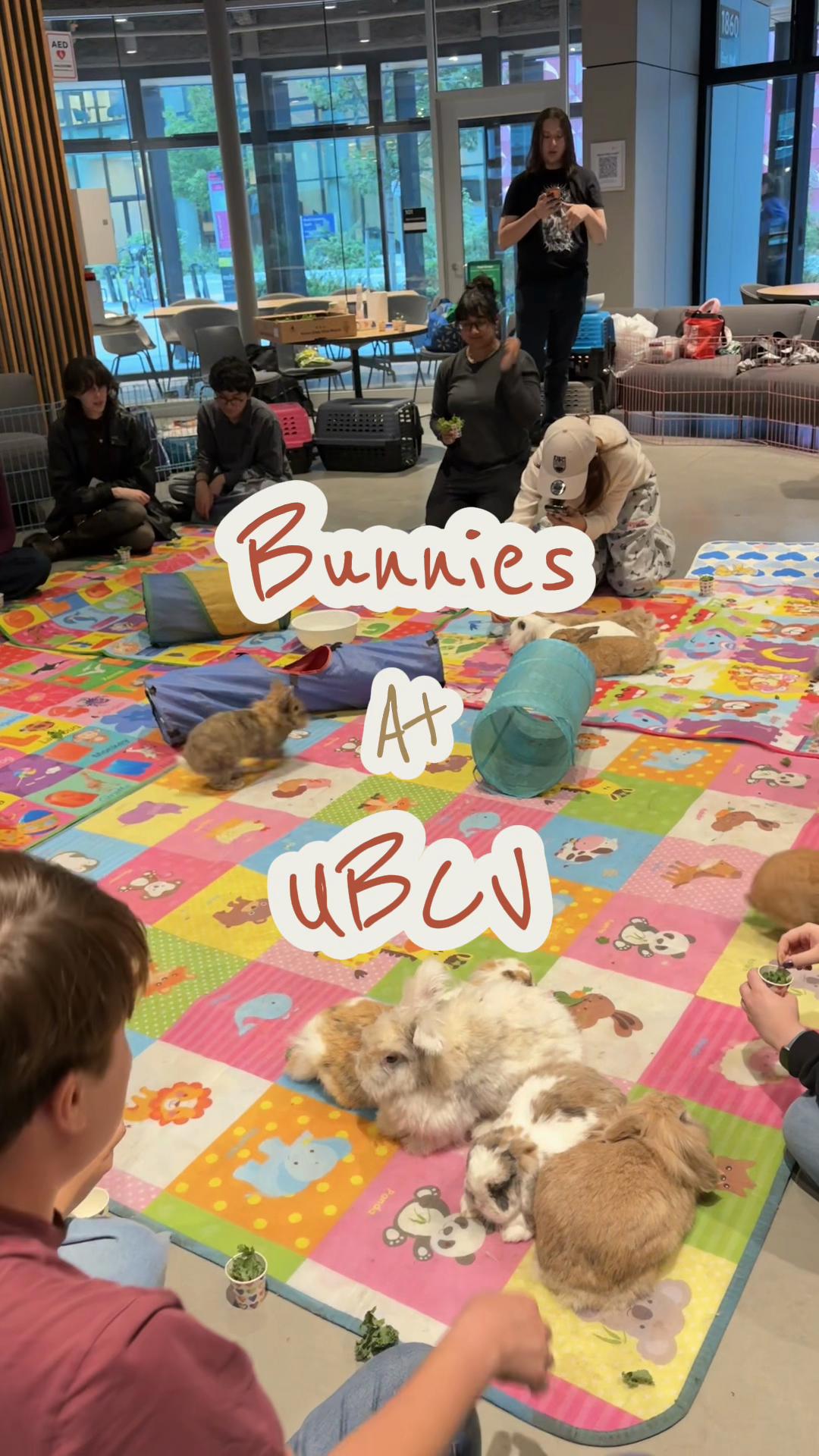 @UBC