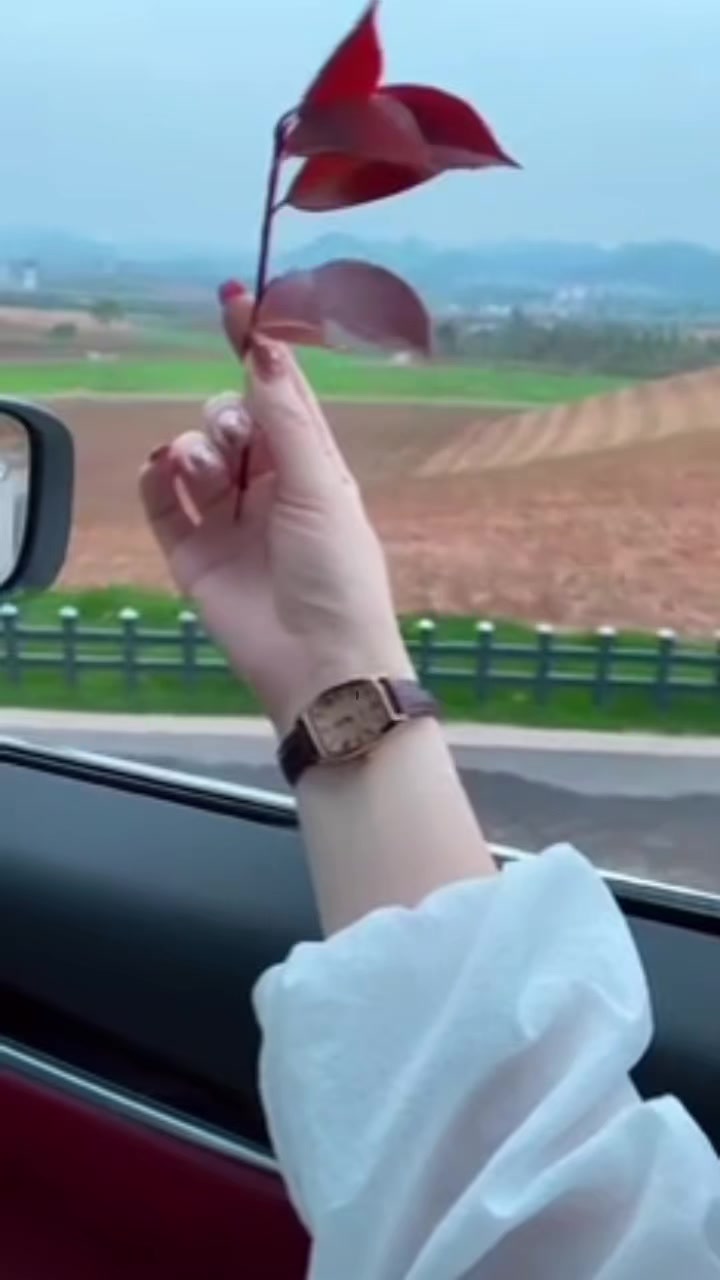 @Sara