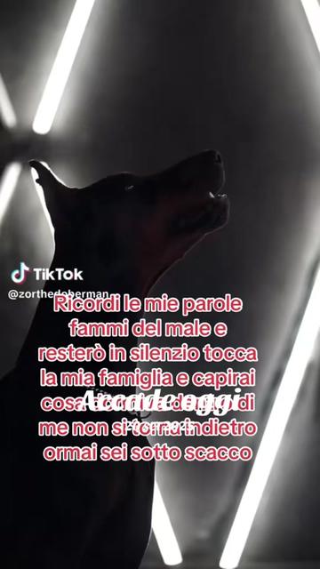 @Biscottino