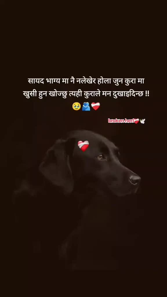 @🇳🇵😋꧁༒ ☬Kⱥℝⱥn☬༒꧂🇰🇷❤️