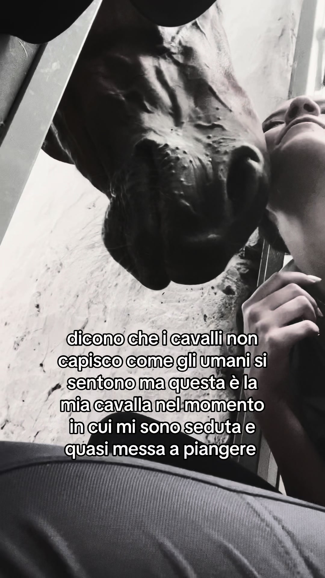 @latuccispamm
