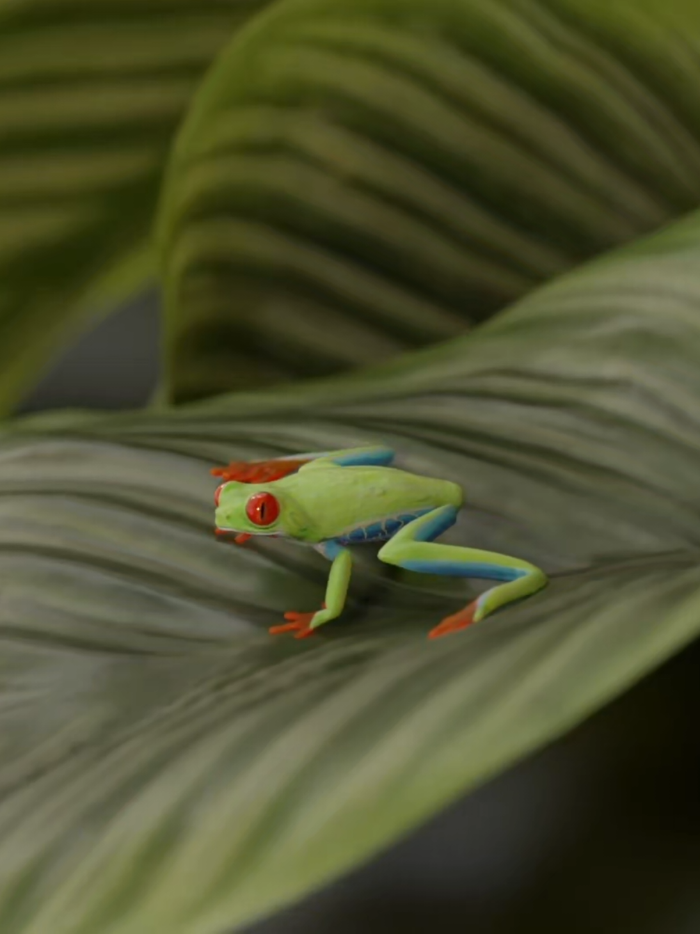 @Zelda Flowers 3D