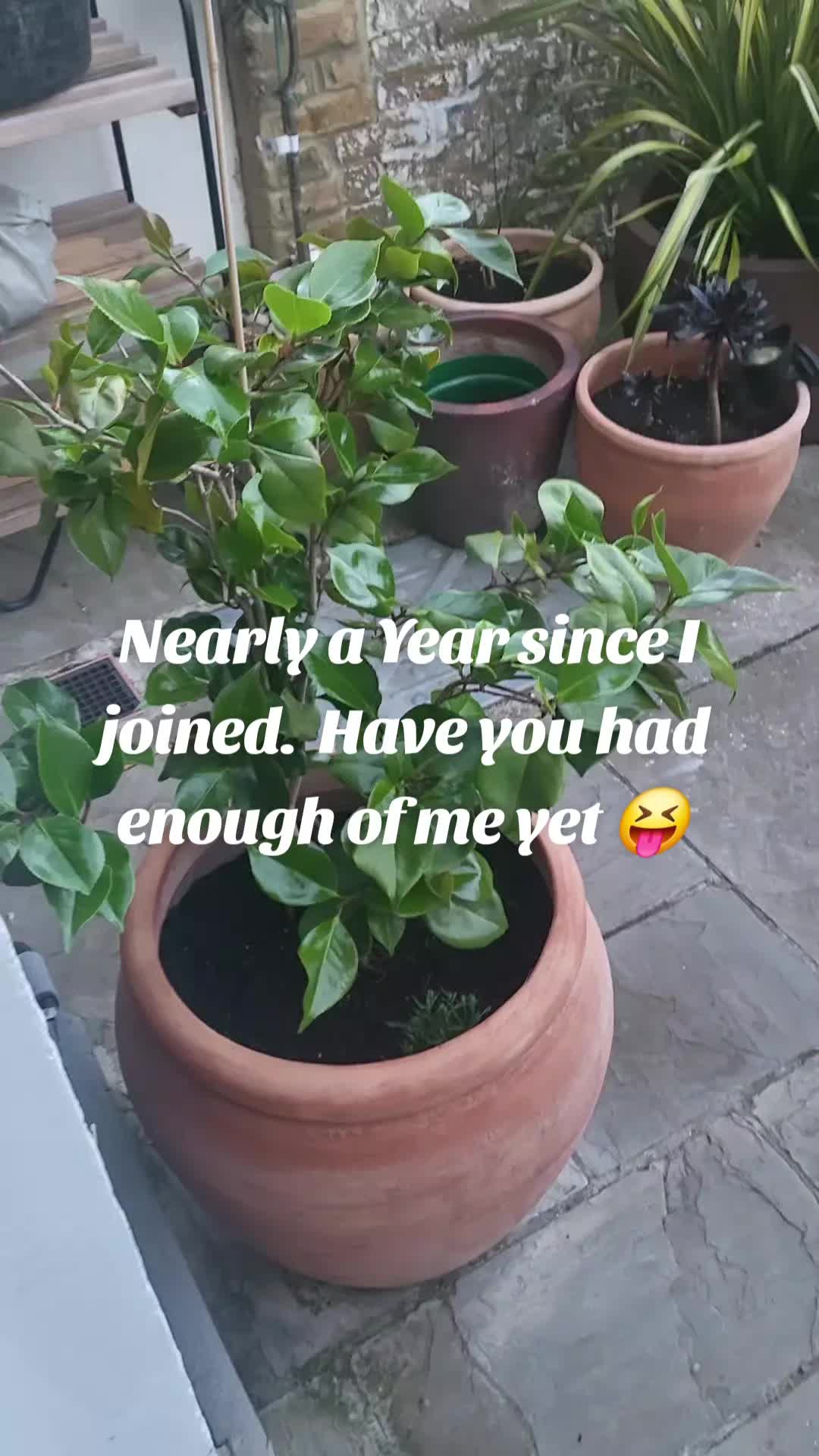 @MamaBose