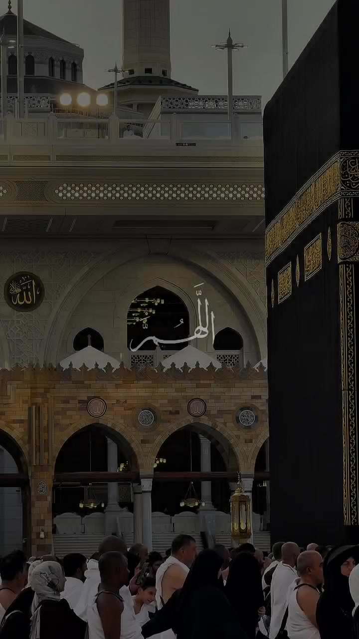 @♥️🕊️