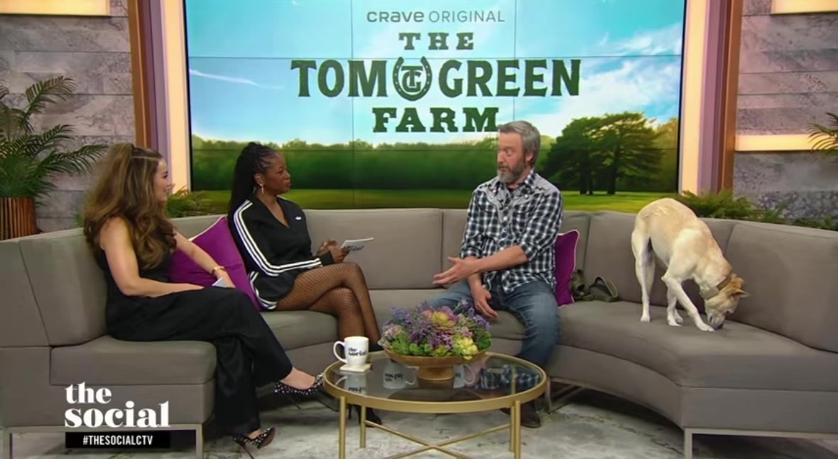 @Tom Green