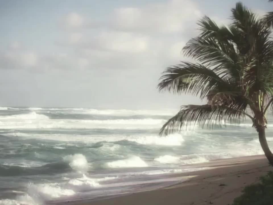 @𝘿𝙄𝙂𝙄𝙏𝘼𝙇𝙄𝙎