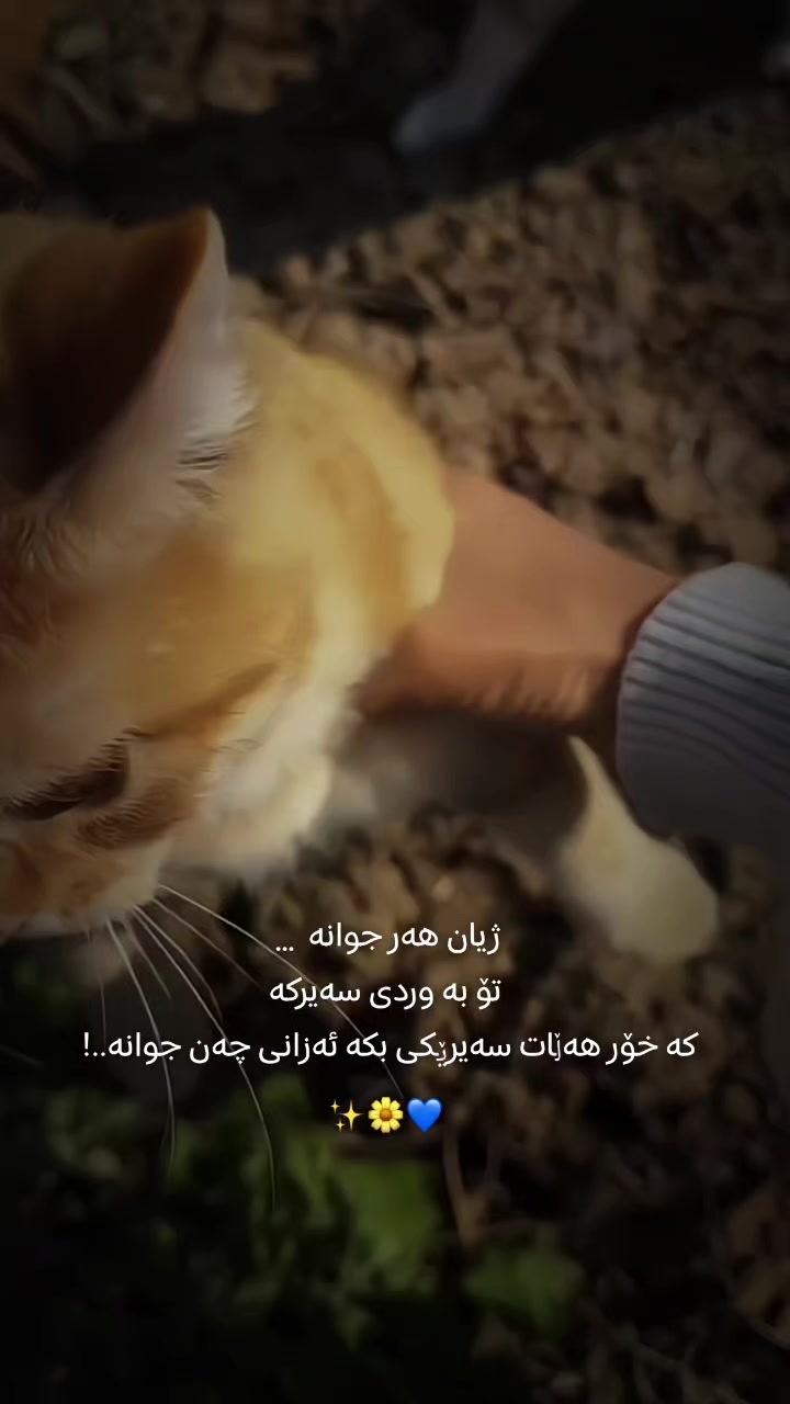 @تیـانـا❤🐈