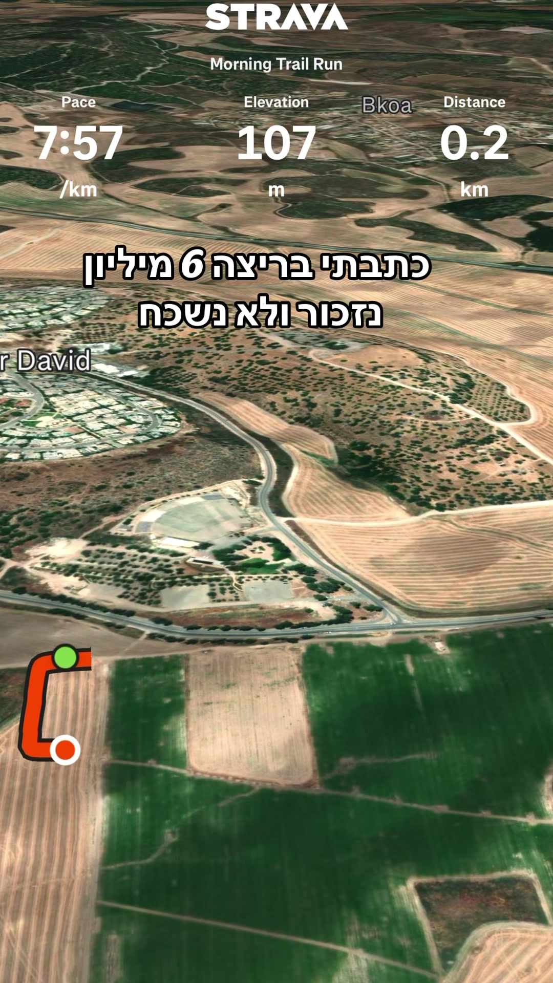 @Dan Run-Travel- הרץ מהטיקטוק