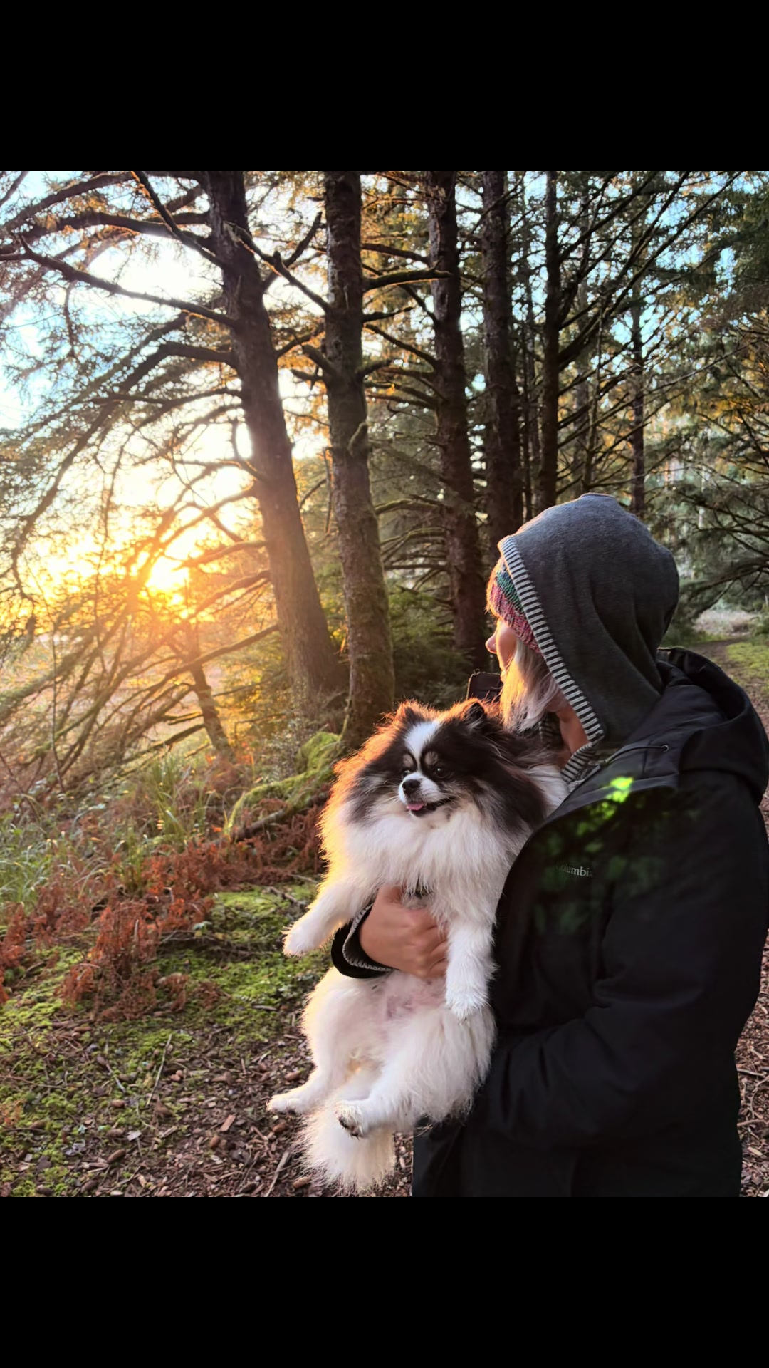 @oregonskyveek
