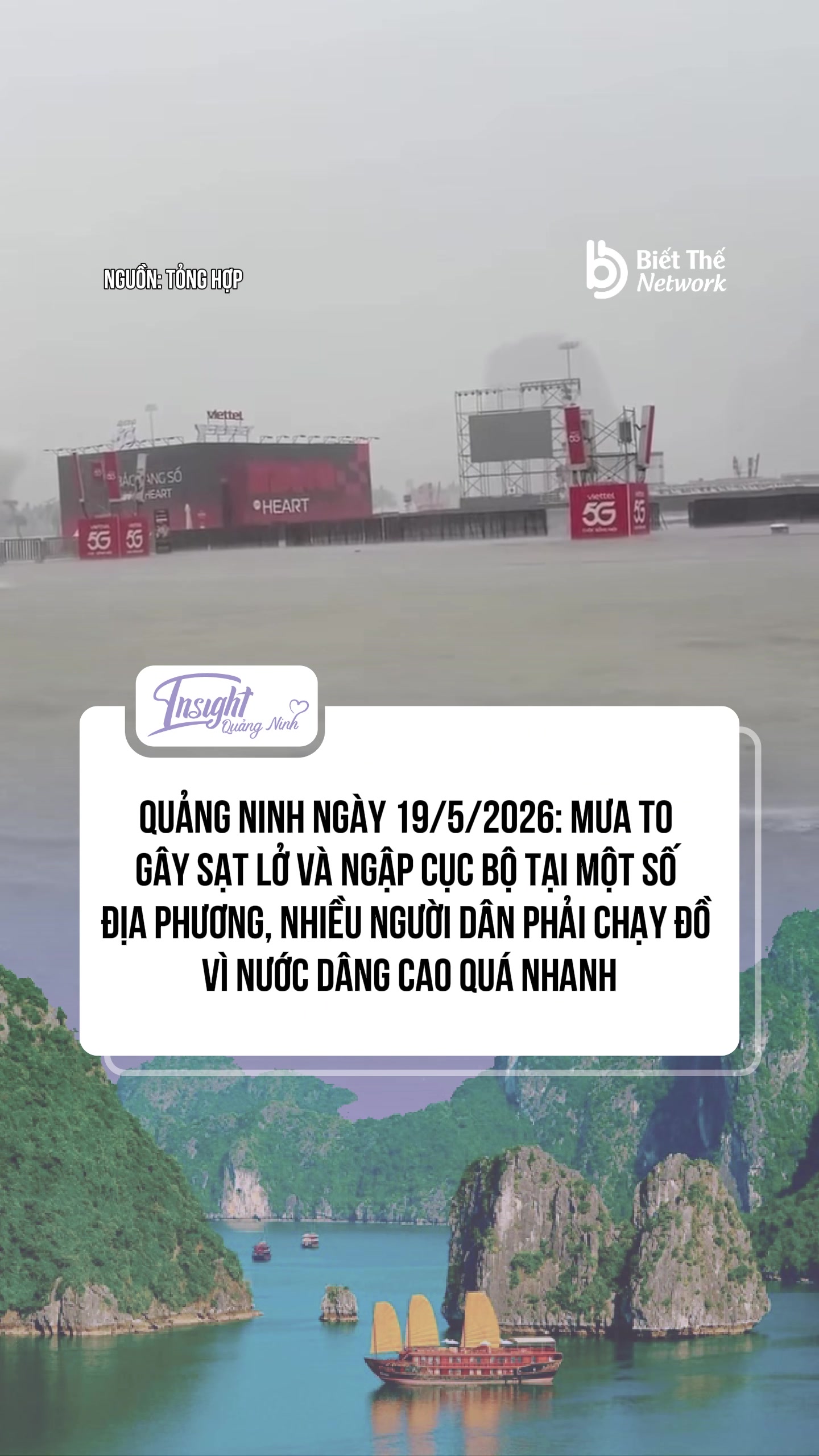 @Insight Quảng Ninh