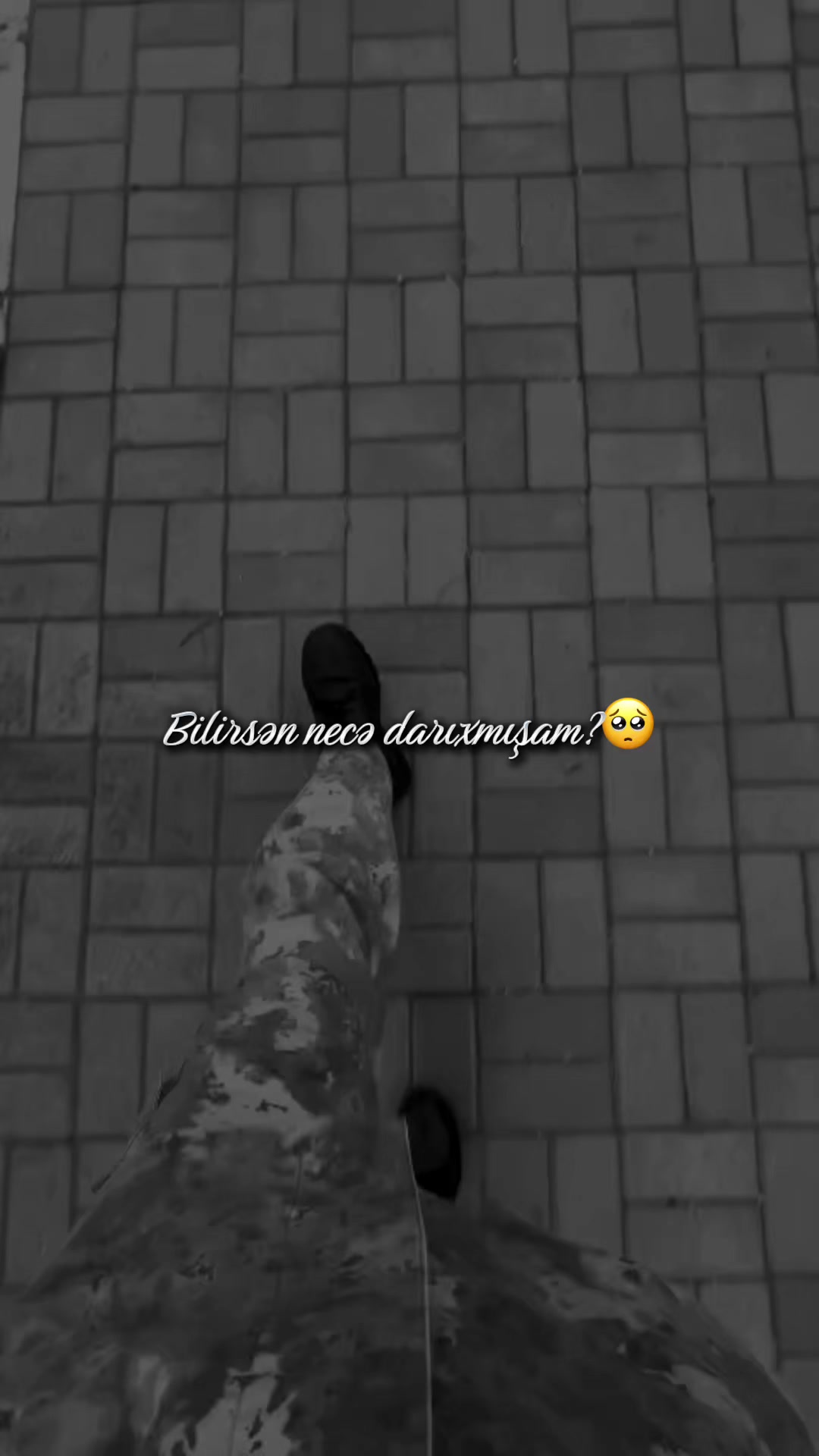 @𓆩𝒫ə𝓇𝓝ə𝓻𓆪