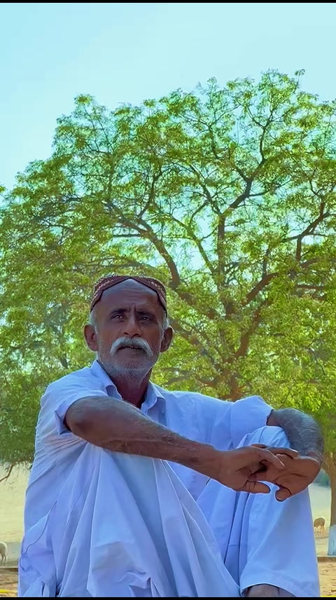 @ابوبکر🌸